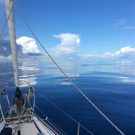 The Wind Will Blow: A Reflection on Radical Acceptance and Compassionate Patience